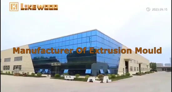 Langlebige Schaumform für die Extrusion kundenspezifischer Profile in Großprojekten