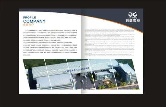 Kunststoff-Spritzgussform für PPSU, Pei, Peek, Hochtemperaturmaterial