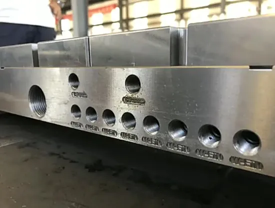 PVC WPC Breitplatten-Extrusionsform Kunststoff-Extruderteil