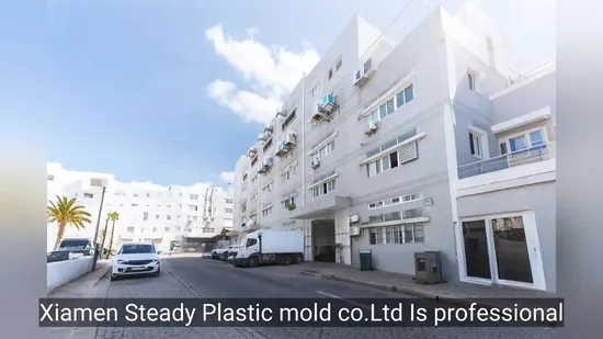 Präzise kundenspezifische Kunststoff-Spritzgussformen für Qualitätsteile